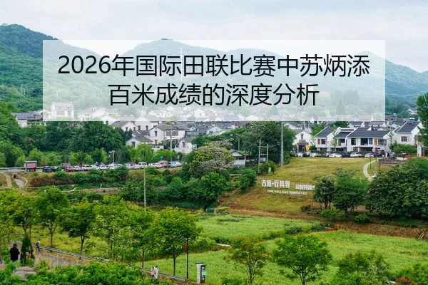 nian-guo-ji-tian-lian-bi-sai-zhong-su-bing-tian-bai-mi-cheng-ji-de-shen-du-fen-xi-2-251.jpg