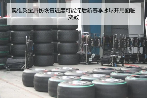 奥维契金肩伤恢复进度可能滞后新赛季冰球开局面临变数