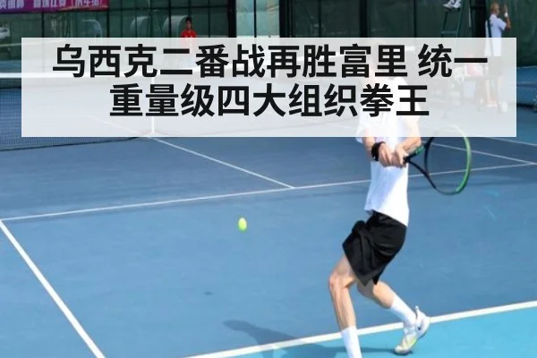 乌西克二番战再胜富里 统一重量级四大组织拳王